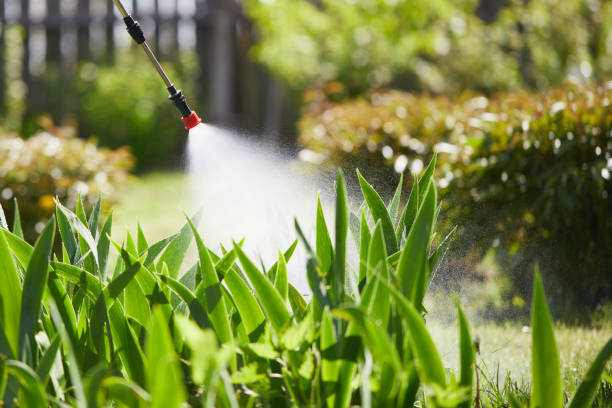 Tamper-Resistant Bait Stations for Rodents in Mason
