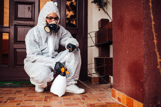 Attic and Crawl Space Rodent Treatment in Mason
