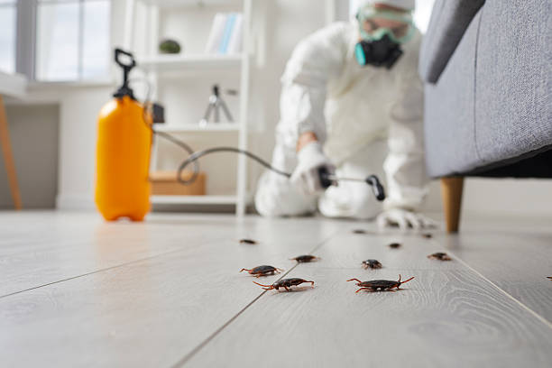 Commercial Rodent Management in Mason